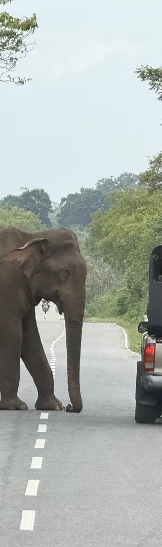 Die etwas andere Verkehrskontrolle